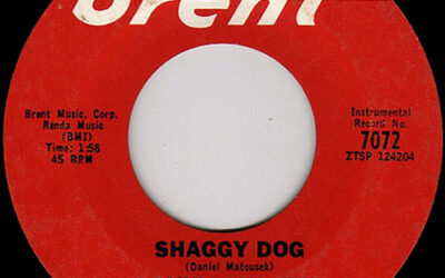 Shaggy Dog In The Wonder Years